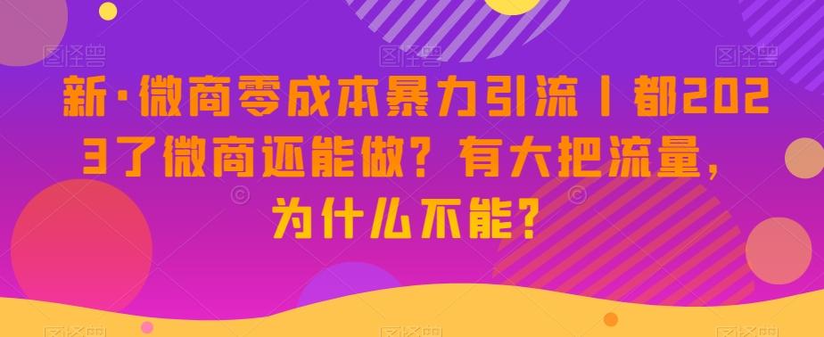 新·微商零成本暴力引流丨都2023了微商还能做？有大把流量，为什么不能？-小艾项目网