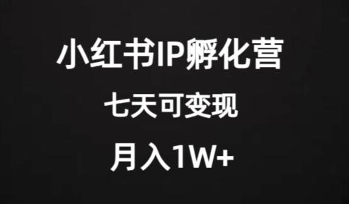 价值2000+的小红书IP孵化营项目，超级大蓝海，七天即可开始变现，稳定月入1W+-小艾项目网
