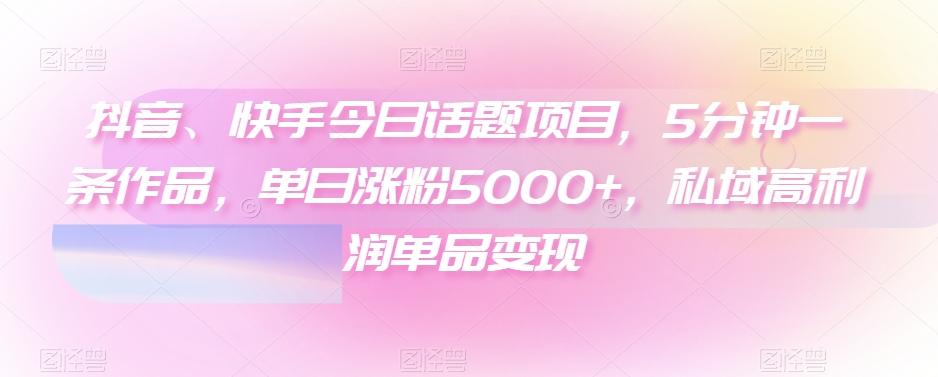 抖音、快手今日话题项目，5分钟一条作品，单日涨粉5000+，私域高利润单品变现-小艾项目网