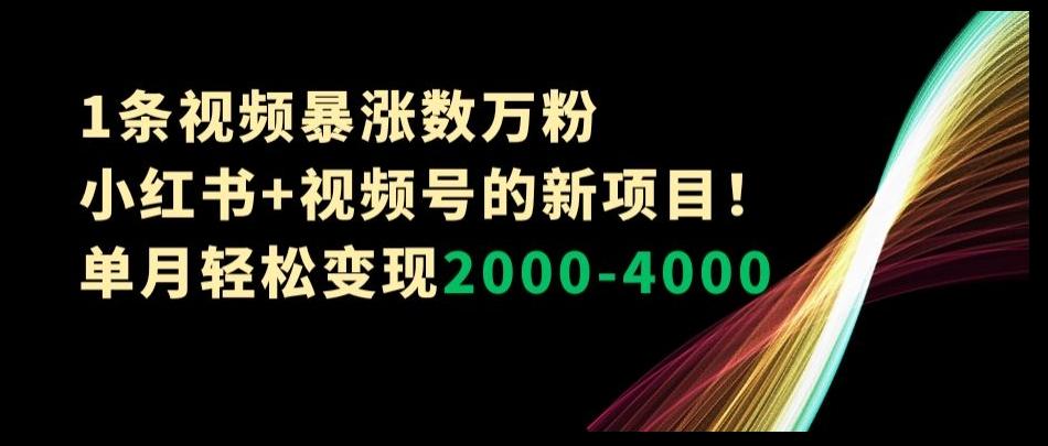 1条视频暴涨数万粉–小红书+视频号的新项目！单月轻松变现2000-4000【揭秘】-小艾项目网