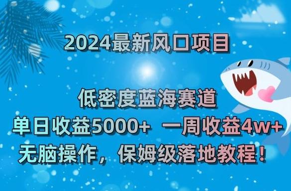 2024最新风口项目，低密度蓝海赛道，单日收益5000+，一周收益4w+！【揭秘】-小艾项目网