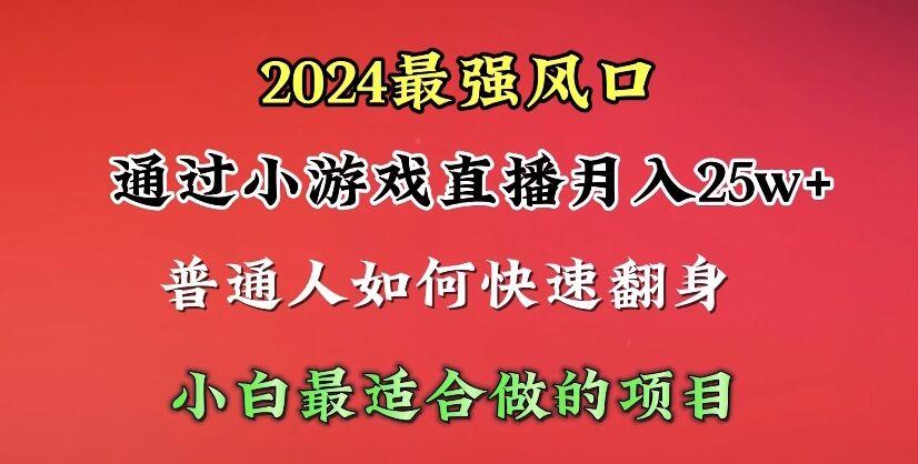 (10020期)2024年最强风口，通过小游戏直播月入25w+单日收益5000+小白最适合做的项目-小艾项目网