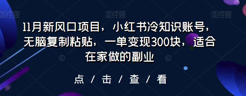11月新风口项目，小红书冷知识账号，无脑复制粘贴，一单变现300块，适合在家做的副业-小艾项目网