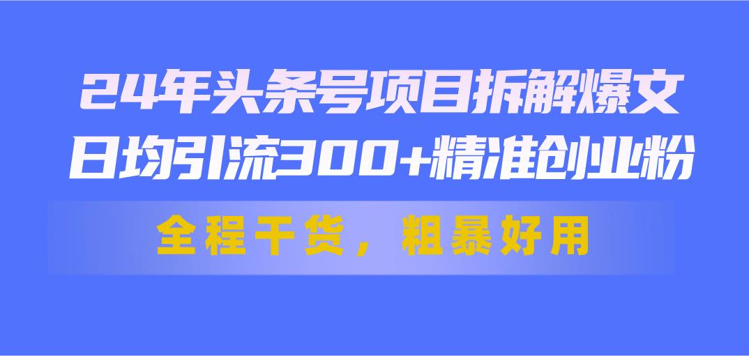 24年头条号项目拆解爆文，日均引流300+精准创业粉，全程干货，粗暴好用-小艾项目网