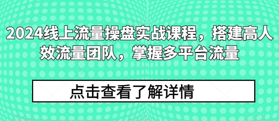 2024线上流量操盘实战课程，搭建高人效流量团队，掌握多平台流量-小艾项目网