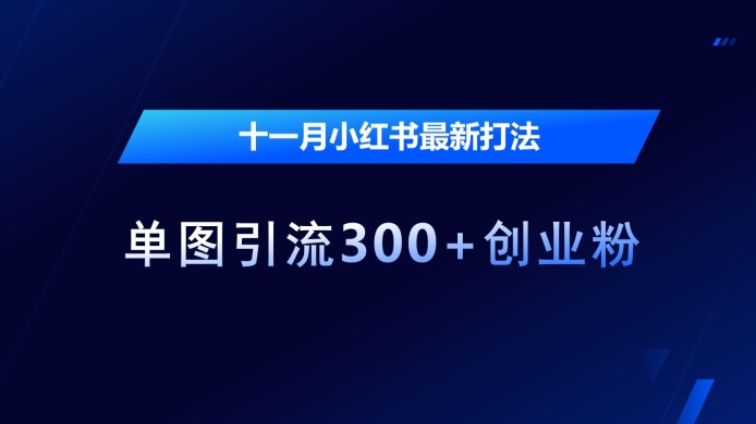 十一月小红书最新打法，单图引流300+创业粉【揭秘】-小艾项目网