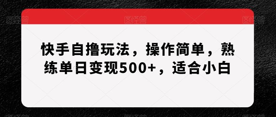 快手自撸玩法，操作简单，熟练单日变现500+，适合小白【揭秘】-小艾项目网