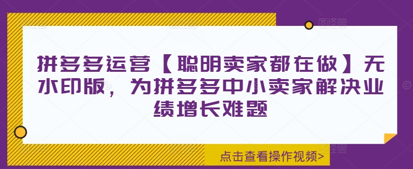 拼多多运营【聪明卖家都在做】无水印版，为拼多多中小卖家解决业绩增长难题-小艾项目网