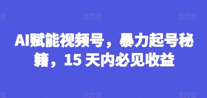 AI赋能视频号，暴力起号秘籍，15 天内必见收益【揭秘】-小艾项目网