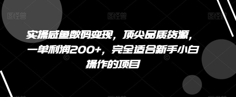 实操咸鱼数码变现，顶尖品质货源，一单利润200+，完全适合新手小白操作的项目【揭秘】-小艾项目网