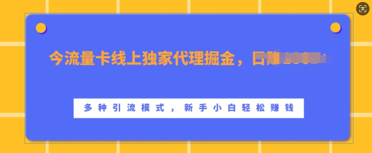 流量卡线上独家代理掘金，日入1k+ ，多种引流模式，新手小白轻松上手【揭秘】-小艾项目网