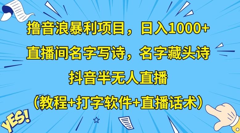 撸音浪暴利项目，日入1000+，直播间名字写诗，名字藏头诗，抖音半无人直播（教程+打字软件+直播话术）【揭秘】-小艾项目网