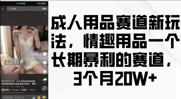 成人用品赛道新玩法，情趣用品一个长期暴利的赛道，3个月收益20个【揭秘】-小艾项目网