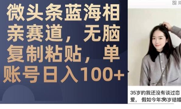 微头条蓝海相亲赛道，无脑复制粘贴，单账号日入100+-小艾项目网