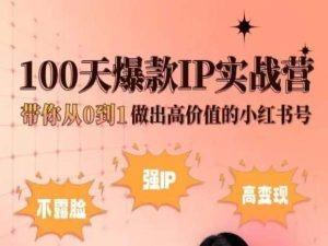 小红书100天爆款IP实战营，带你从0到1做出高价值的小红书号-小艾项目网