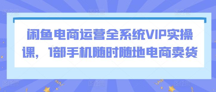 闲鱼电商运营全系统VIP实操课，1部手机随时随地电商卖货-小艾项目网