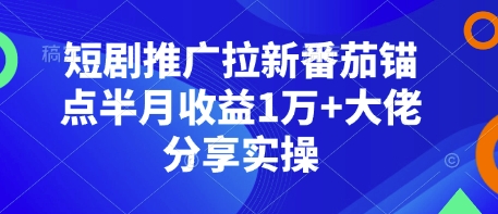 短剧推广拉新番茄锚点半月收益1万+大佬分享实操-小艾项目网