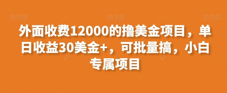 外面收费12000的撸美金项目，单日收益30美金+，可批量搞，小白专属项目-小艾项目网