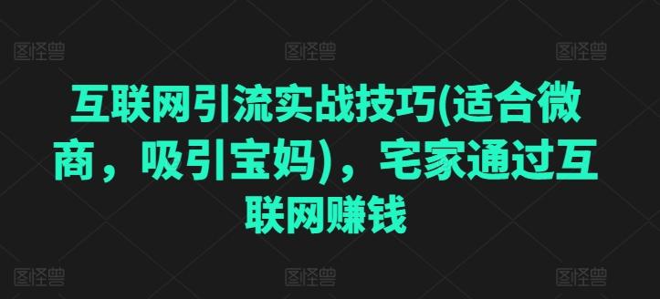 互联网引流实战技巧(适合微商，吸引宝妈)，宅家通过互联网赚钱-小艾项目网