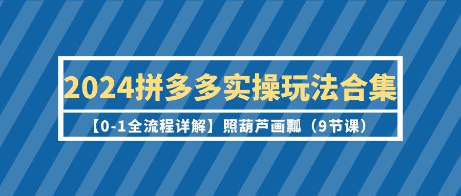 (9559期)2024拼多多实操玩法合集【0-1全流程详解】照葫芦画瓢(9节课)-小艾项目网