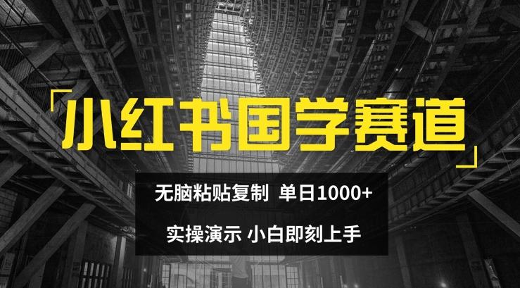 小红书国学赛道，无脑粘贴复制，单日1K，实操演示，小白即刻上手【揭秘】-小艾项目网