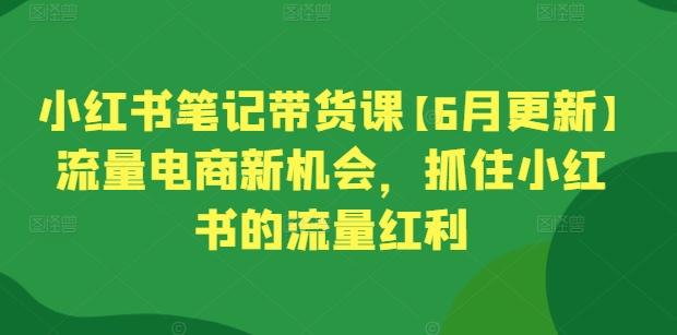 小红书笔记带货课【6月更新】流量电商新机会，抓住小红书的流量红利-小艾项目网