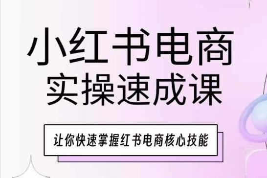 小红书电商实操速成课，让你快速掌握红书电商核心技能-小艾项目网