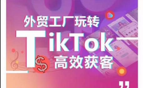 外贸工厂玩转TikTok高效获客，多种引流方式与账号定位技巧，拆解爆款短视频打造成功案例-小艾项目网
