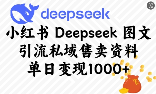 小红书Deepseek图文引流私域售卖资料，单日变现多张-小艾项目网