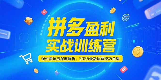 拼多多盈利实战训练营，强付费玩法深度解析，2025运营技巧合集-更新6月-小艾项目网