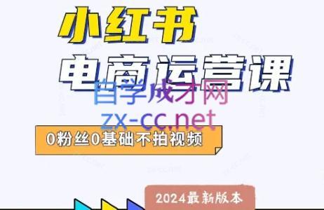 达哥·小红书电商运营(2024版)-小艾项目网