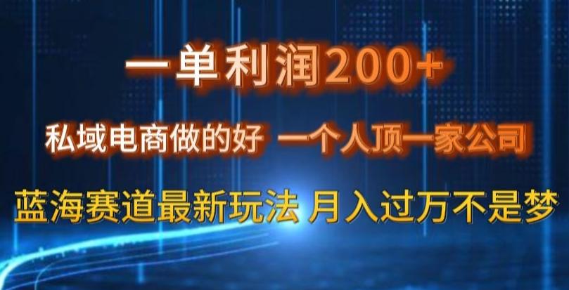 一单利润200私域电商做的好，一个人顶一家公司蓝海赛道最新玩法【揭秘】-小艾项目网