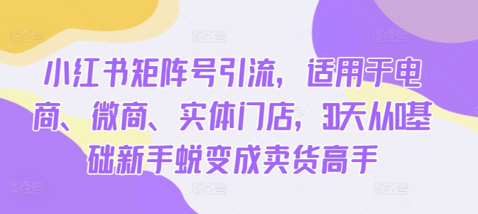 小红书矩阵号引流，适用于电商、微商、实体门店，30天从0基础新手蜕变成卖货高手-小艾项目网
