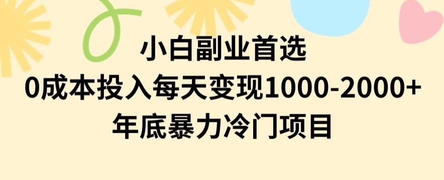 小白副业首选，0成本投入，每天变现1000-2000年底暴力冷门项目【揭秘】-小艾项目网