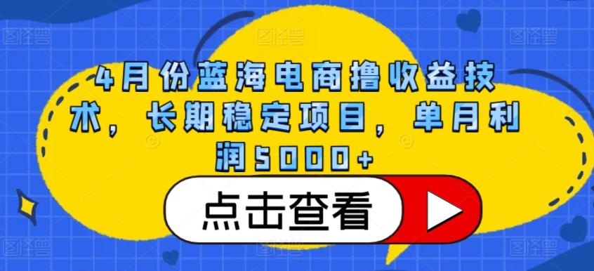 4月份蓝海电商撸收益技术，长期稳定项目，单月利润5000+【揭秘】-小艾项目网