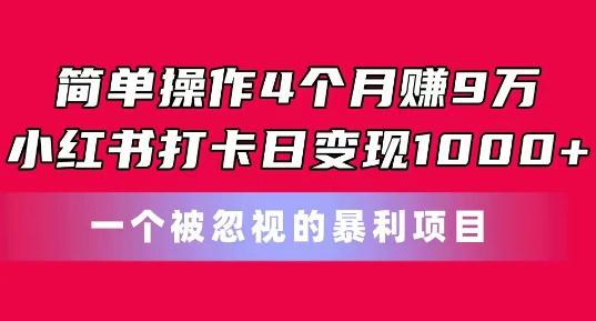 简单操作4个月赚9w，小红书打卡日变现1k，一个被忽视的暴力项目【揭秘】-小艾项目网