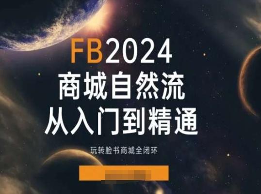 2024Faceboo商城自然流(从入门到精通)，玩转脸书商城全闭环-小艾项目网