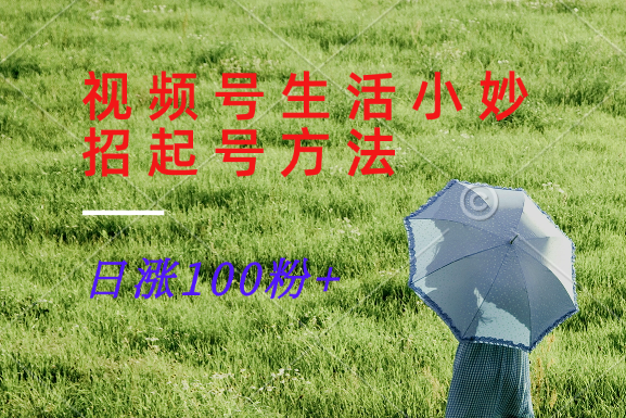 视频号生活小妙招分享赛道， 起号涨粉新方法，日涨100粉-小艾项目网