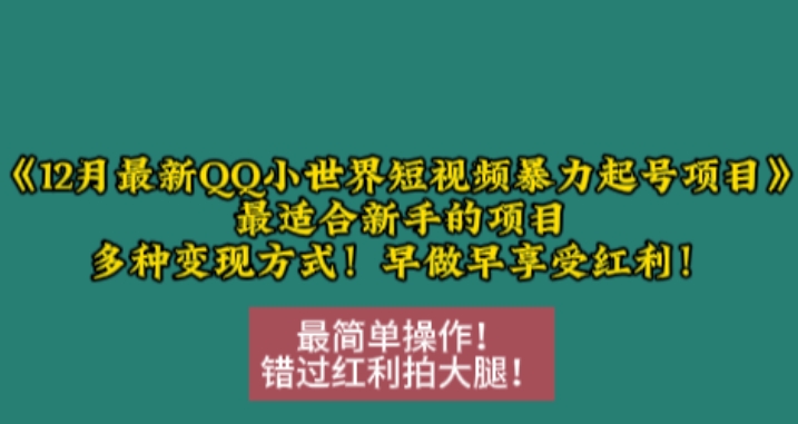 12月最新QQ小世界短视频暴力起号项目，最适合新手的项目，多种变现方式-小艾项目网