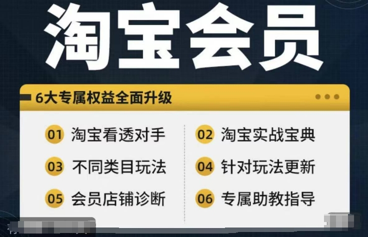 淘宝会员【淘宝所有课程，全面分析对手】，初级到高手全系实战宝典-小艾项目网