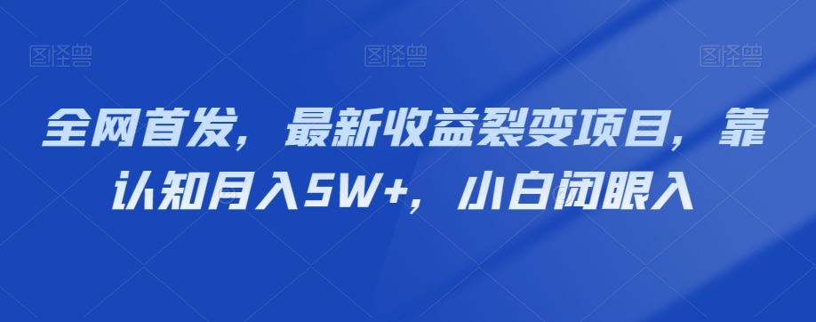 全网首发，最新收益裂变项目，靠认知月入5W+，小白闭眼入-小艾项目网