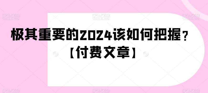 极其重要的2024该如何把握？【付费文章】-小艾项目网