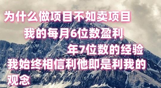 做项目不如卖项目，每月6位数盈利，年7位数经验-小艾项目网