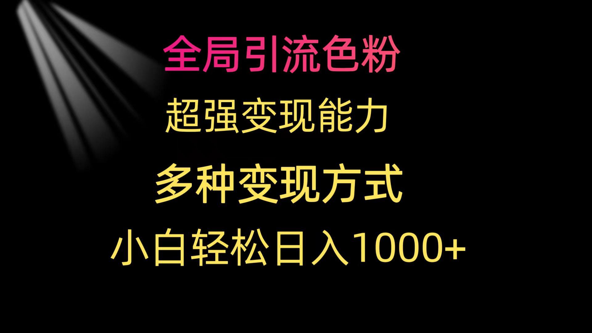 (9680期)全局引流色粉 超强变现能力 多种变现方式 小白轻松日入1000+-小艾项目网