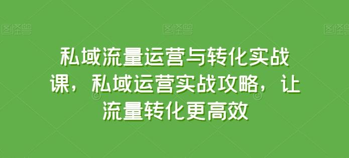 私域流量运营与转化实战课，私域运营实战攻略，让流量转化更高效-小艾项目网