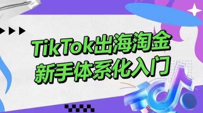 TikTok出海淘金，新手体系化入门，零基础快速入门，掌握短视频、直播带货等引流到变现的知识-小艾项目网