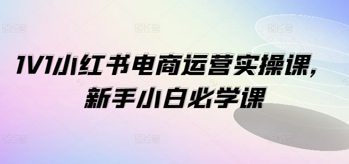 1V1小红书电商运营实操课，新手小白必学课-小艾项目网
