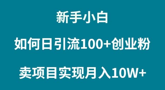 (9556期)新手小白如何通过卖项目实现月入10W+-小艾项目网