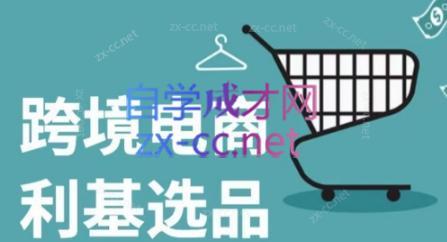 阿甘·2024年跨境电商选品案例-小艾项目网