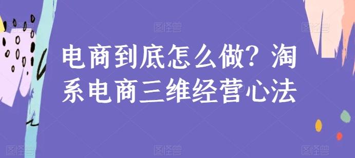 电商到底怎么做？淘系电商三维经营心法-小艾项目网